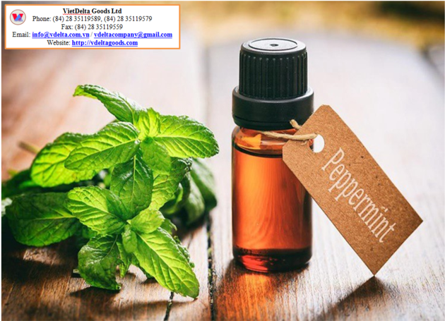 Peppermint Oil