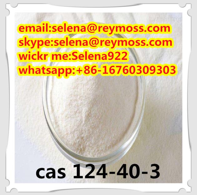 Dimethylamine CAS 124-40-3