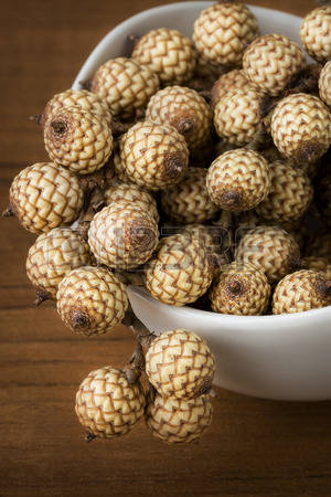 Rattan Palm Seeds