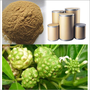 Noni Powder