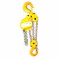 HS-VT chain hoist