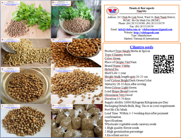 Cilantro seeds