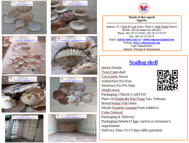 Scallop shell