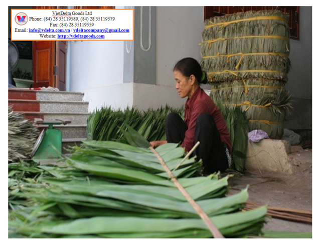 Bamboo leaves