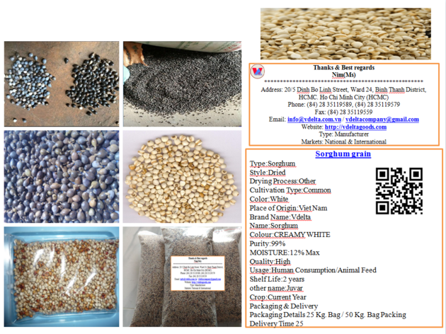 Sorghum grain