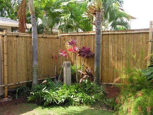 Bamboo Fence Suppliers