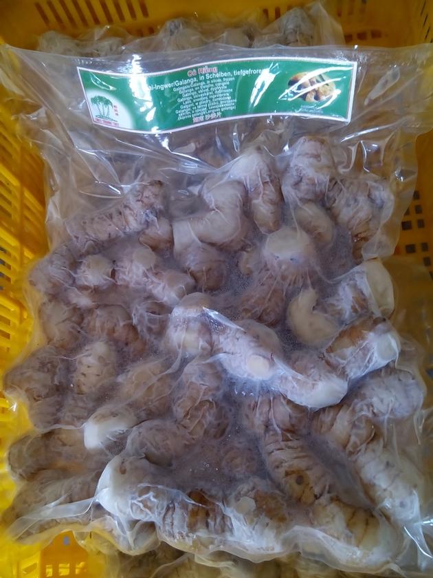 Galangal root suppliers