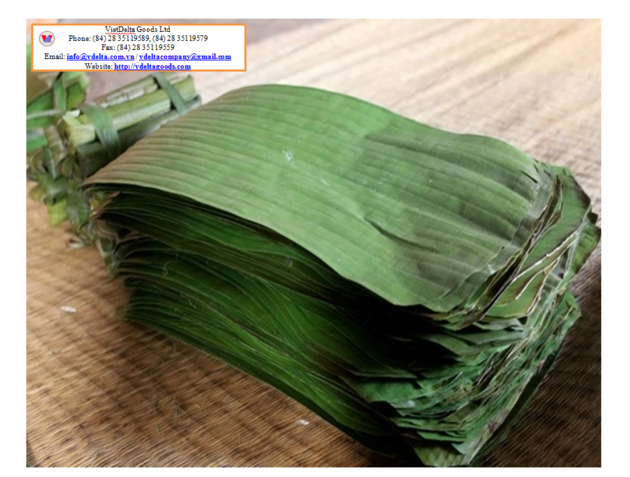 Banana Leaves