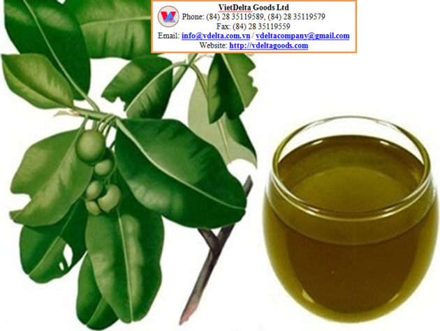 Tamanu Oil