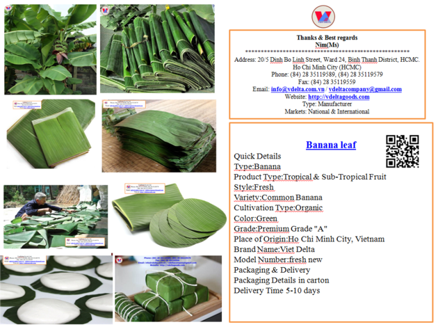 Banana Leaves