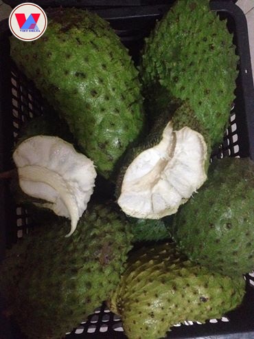 Soursop Fruit