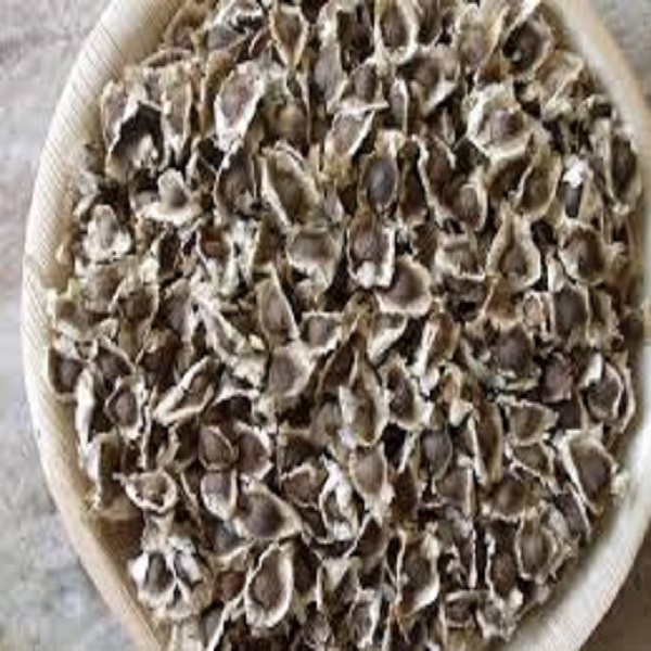 Moringa seeds