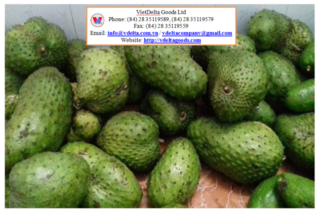 Soursop Fruit