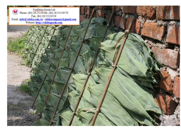 Bamboo Leaves