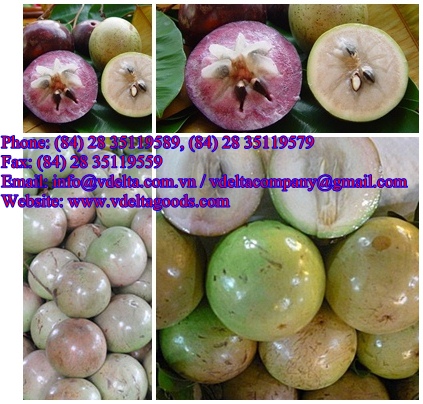 Star Apple