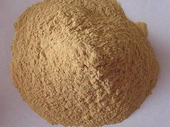 Litsea Glutinosa Powder