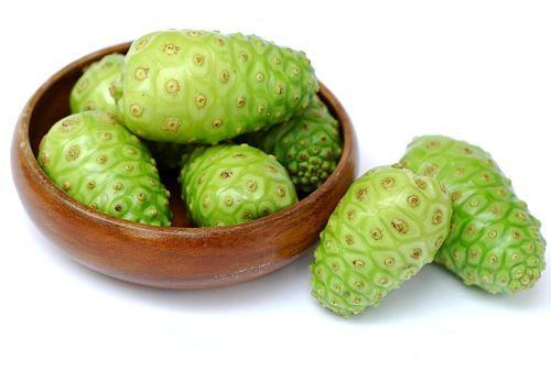 Noni suppliers