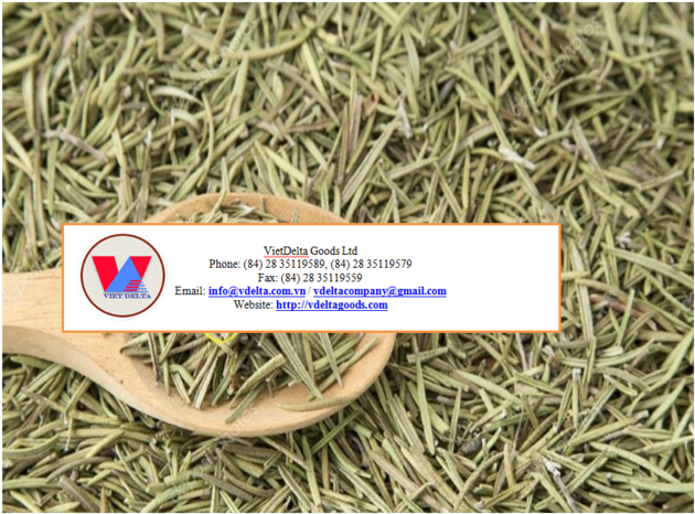 Dried Rosemary Leaves