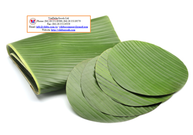 Banana Leaves