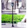 Solar Streelight/Landscape Light