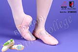ballet shoes