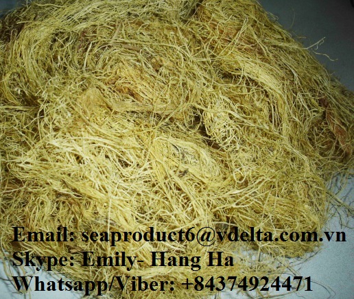 Gracilaria Seaweed