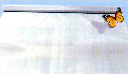 filter wire cloth