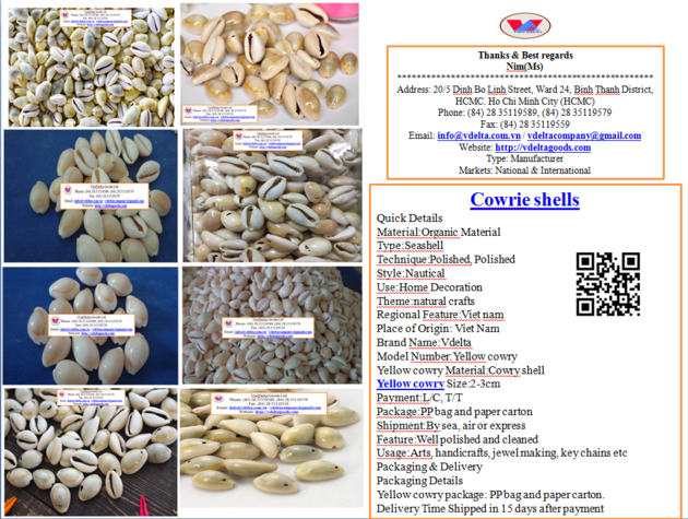 Cowrie shell