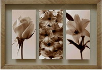 Tridimensional Picture Frame