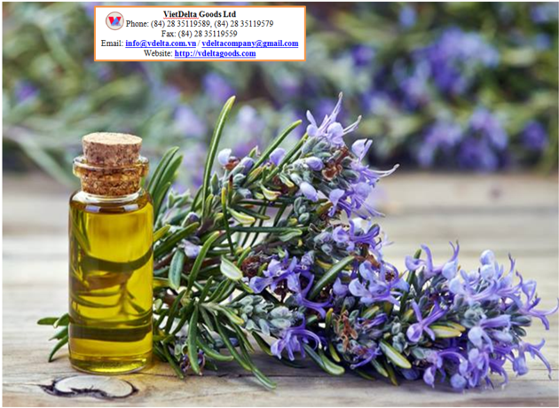 Rosemary Oil