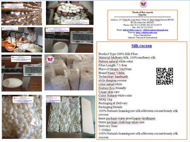 Silk Cocoon