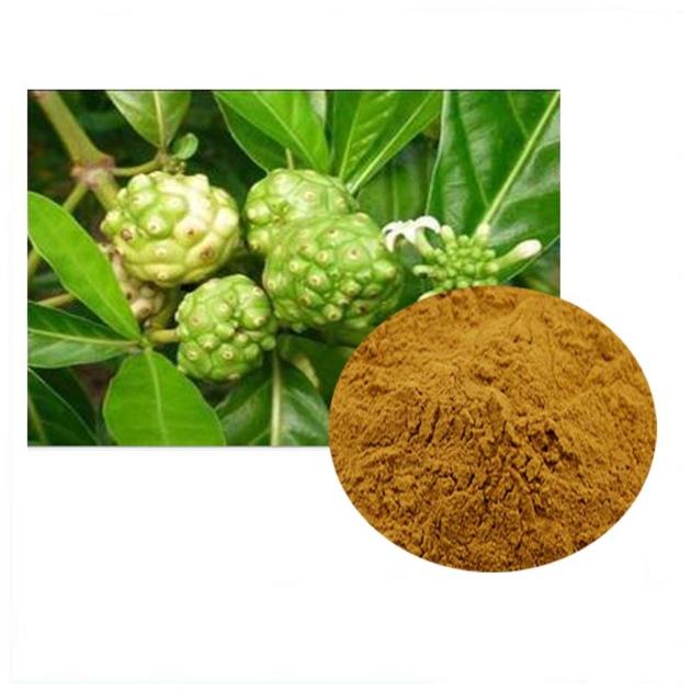 Noni Powder