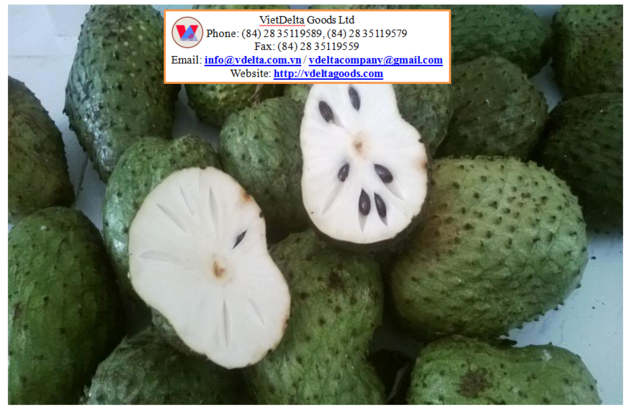 Soursop Fruit