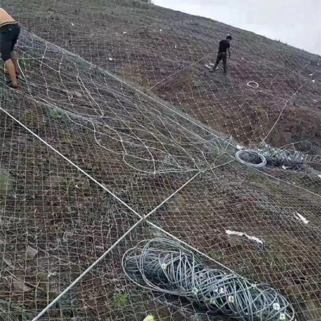 Wire Mesh For Slope Protection Slope