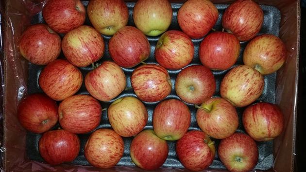 Fresh Golden Delicious Apples