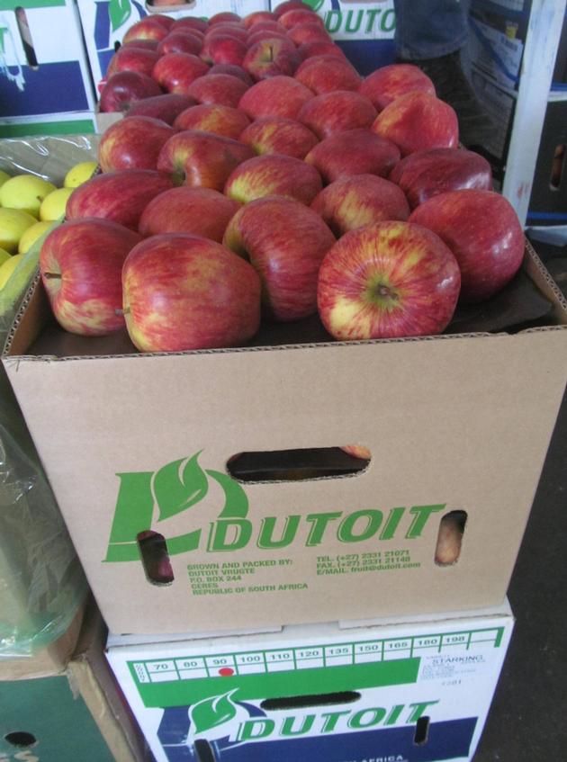 fresh golden delicious apples