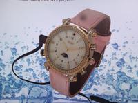 Spy watch