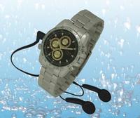 Spy watch