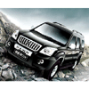 Suv Dawn (DG6480-4)