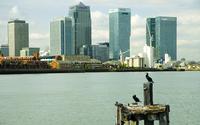 Business opportunities in China