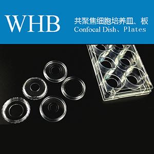Glass Bottom Cell Culture Dish & Plate