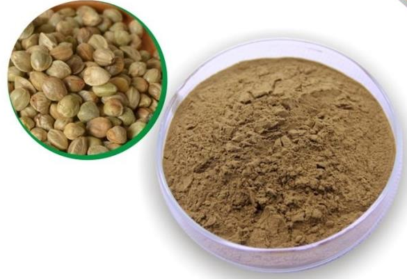 Hemp Protein