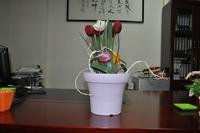 Elegant Wood Grain Pot