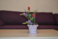 Fashionable Lotus Flower Pots