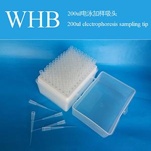 200Ul Electrophoresis Sampling Tip