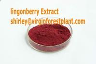 Lingonberry Anthocyanin(Shirley at virginforestplant dot com)