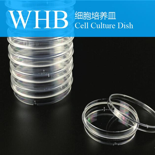 Cell Culture Dish