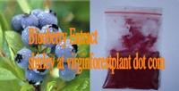 Blueberry Extract( Anthocyanin)(Shirley at virginforestplant dot com)