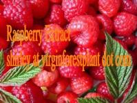 Red Raspberry Anthocyanin (shirley at virginforestplant dot com)