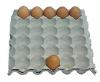 Egg carton ,egg tray